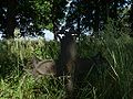 Vorschaubild der Version vom 16:57, 9. Aug. 2010
