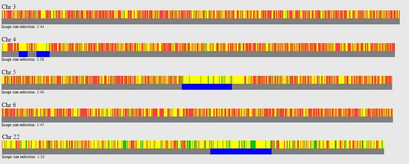 Datei:DNA Chr3-22.jpg