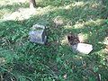 Friedhof Klein Karzewischken8.JPG