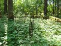 Vorschaubild der Version vom 14:52, 2. Jun. 2013