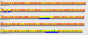 1-zu-1-Vergleich zweier DNA-Kits bei Gedmatch.com