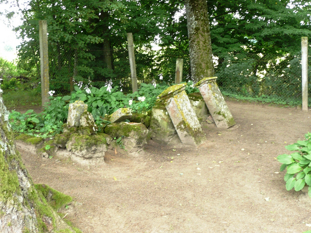 Datei:Friedhof Stepponischken 2.14.jpg