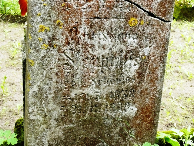 Datei:Friedhof Stepponischken 1.6.jpg