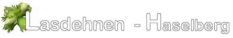 Lasdehnen Schrift2.jpg