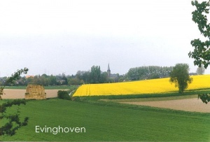 Evingh001.jpg